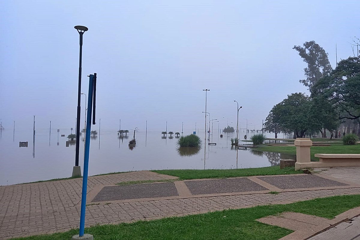 El agua ya avanz&oacute; sobre la contanera baja
