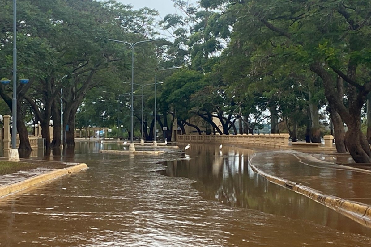 El puerto de Concordia no superar&aacute; la barrera de los 11,20 metros.
