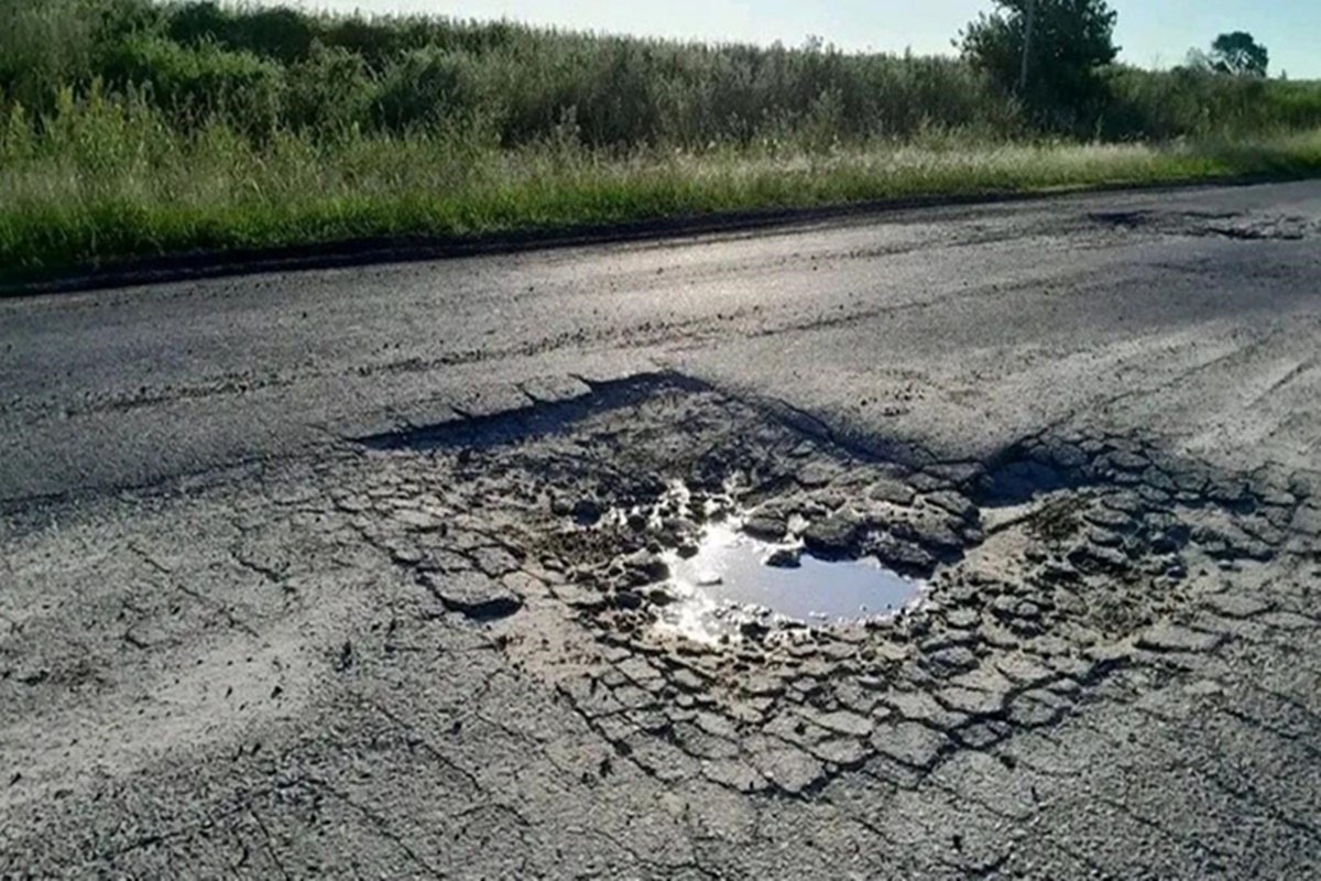 Prorrogable por &uacute;nica vez y por el plazo de 180 d&iacute;as.