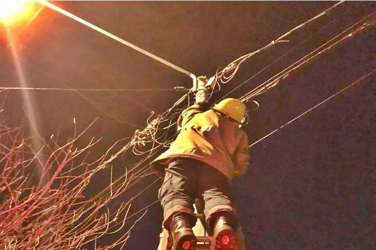 Bomberos Voluntarios debieron rescatar a una mascota que hab&iacute;a quedado en lo alto de un poste