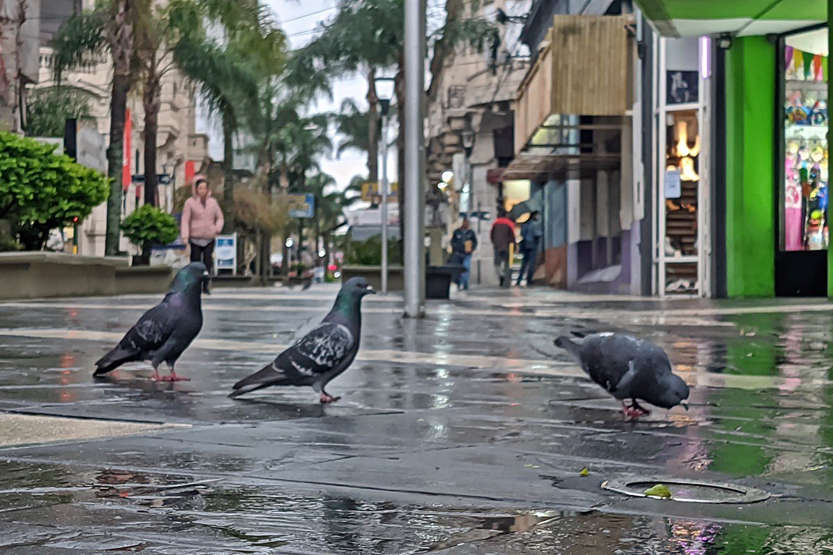 ¿Se cumplirá esta vez?