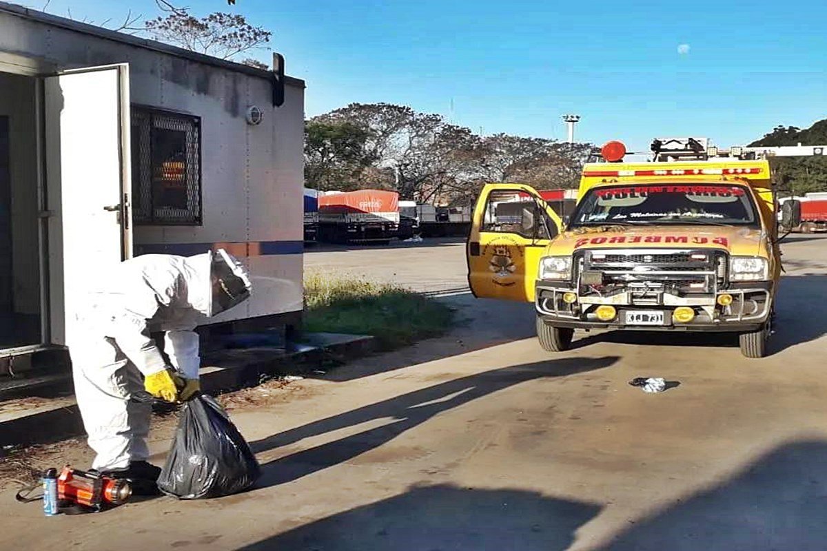 Las avispas hab&iacute;an copado el lugar.