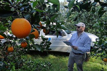 Los técnicos del Senasa revisraron las plantas domiciliarias. Los técnicos del Senasa revisraron las plantas domiciliarias.