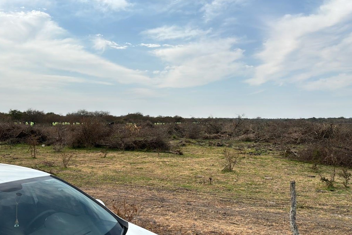 Lleva desaparecido 49 días.