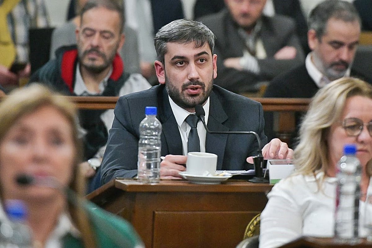 Juan Pablo Cosso, presidente de la Comisi&oacute;n de Asuntos Constitucionales