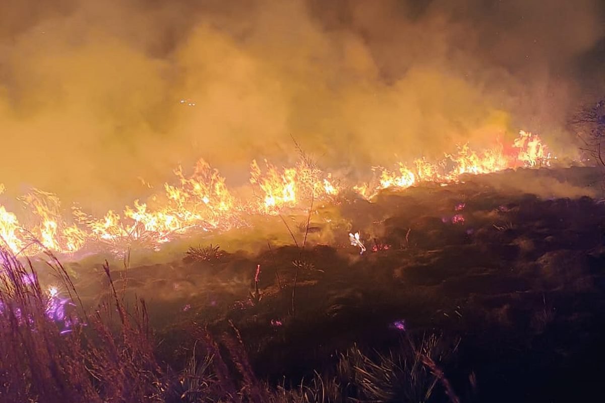 Varias horas para poder controlar el foco ígneo, en la zona de Villa Adela. Varias horas para poder controlar el foco ígneo, en la zona de Villa Adela.