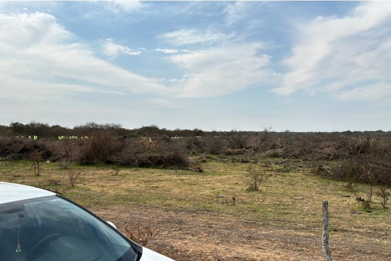 Comenz&oacute; un importante operativo de b&uacute;squeda para hallar al santafesino que desapareci&oacute; en Entre R&iacute;os