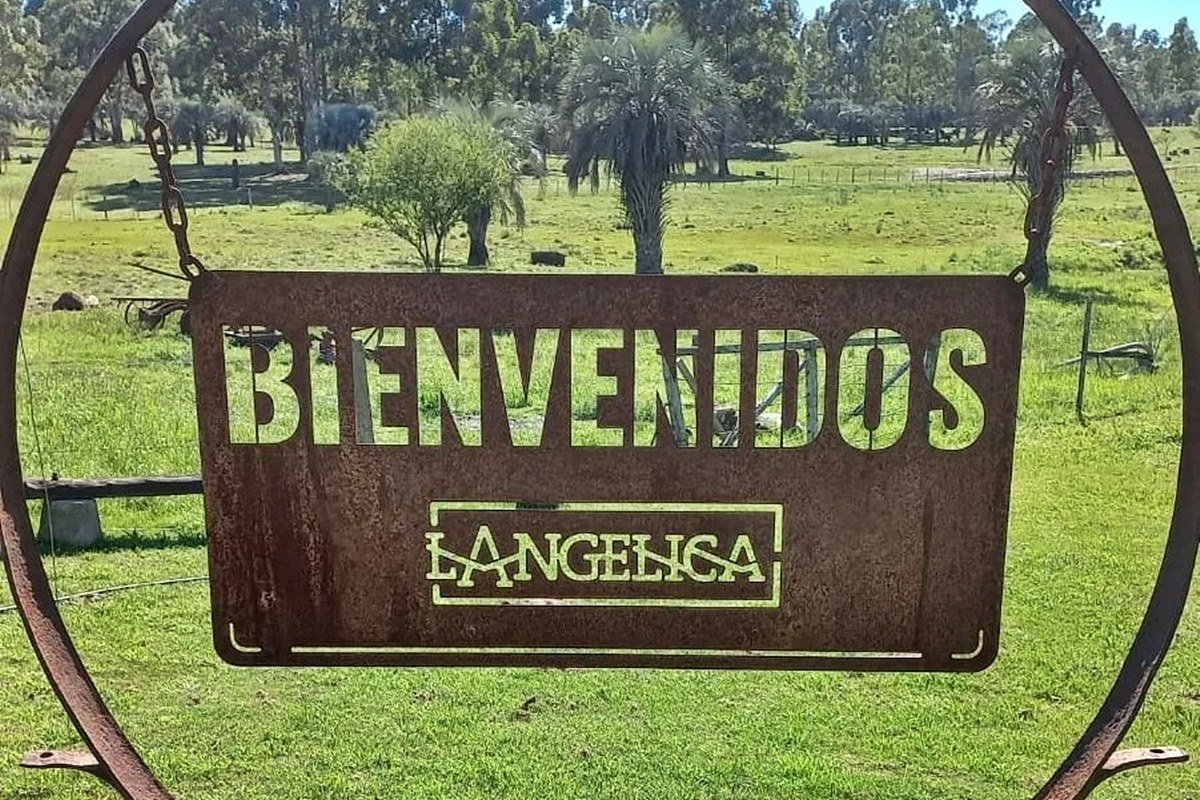 Ambas propuestas incluyen gastronomía y show musical. Ambas propuestas incluyen gastronomía y show musical.