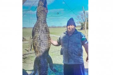 CEYDAS escrachó al cazador entrerriano. CEYDAS escrachó al cazador entrerriano.