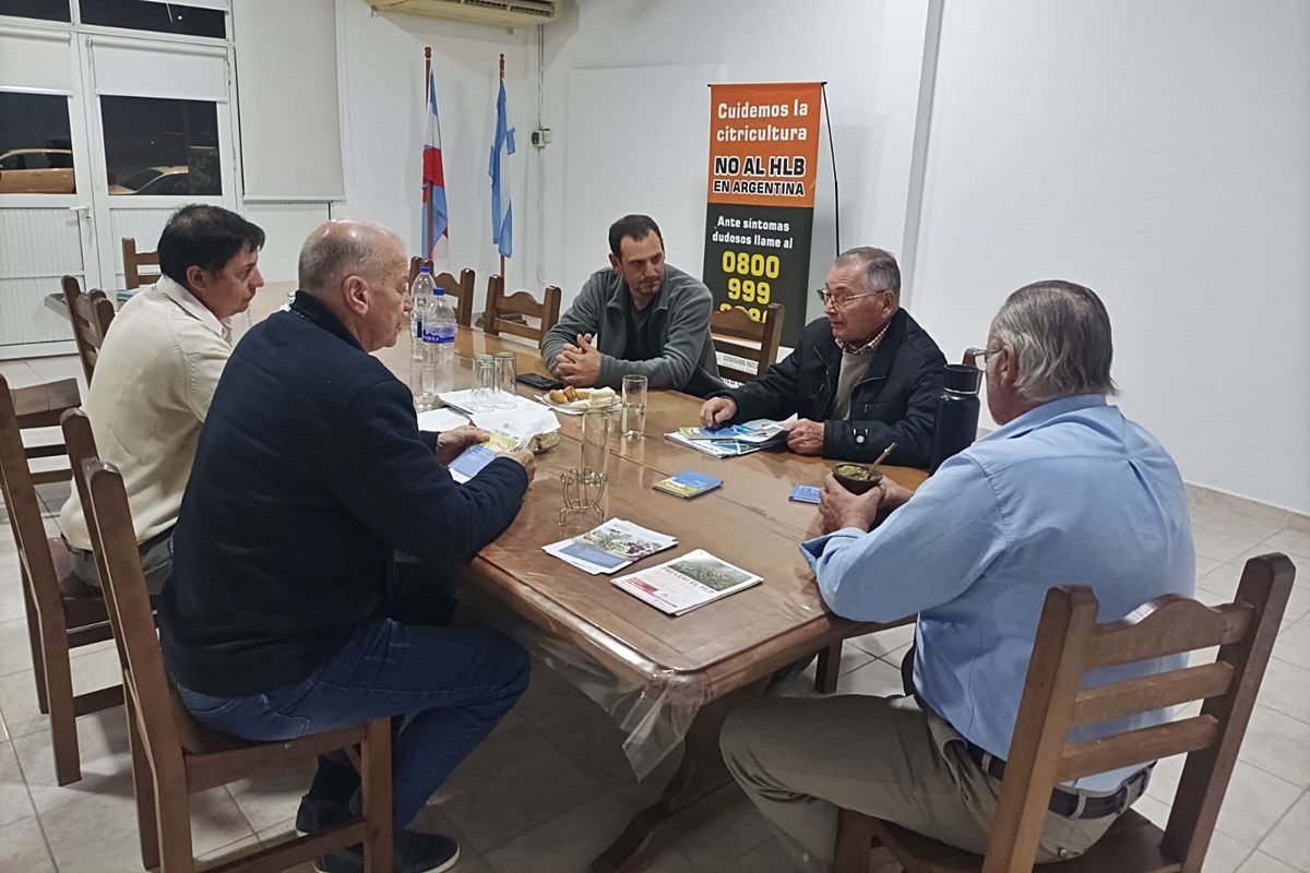 Preocupaci&oacute;n por el avance del HLB en la regi&oacute;n de Salto Grande