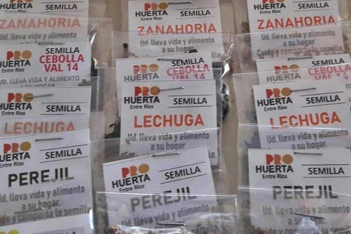Los municipios decidieron comprar las semillas, ante el no envío de Nación. Los municipios decidieron comprar las semillas, ante el no envío de Nación.