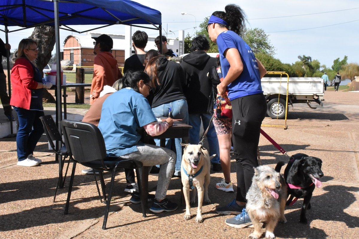 Una nueva campa&ntilde;a de vacunaci&oacute;n animal tendr&aacute; lugar en Concordia.