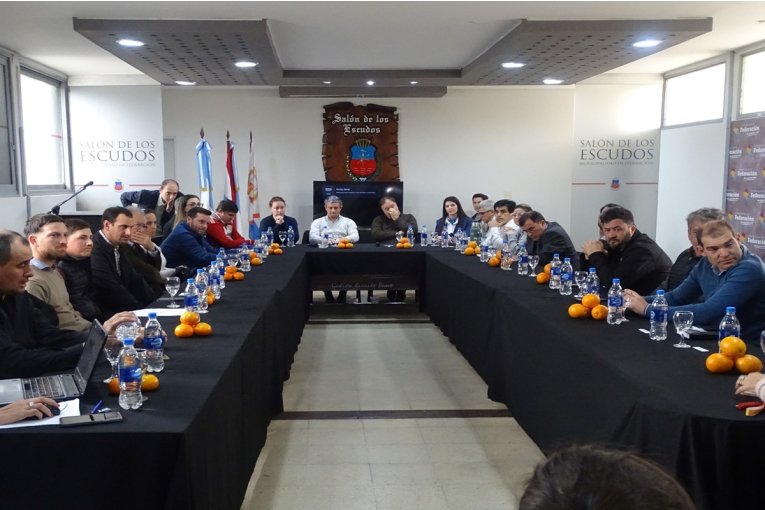 Intendentes de la región piden que se autorice fumigar cerca poblaciones para combatir la mosca de los frutos