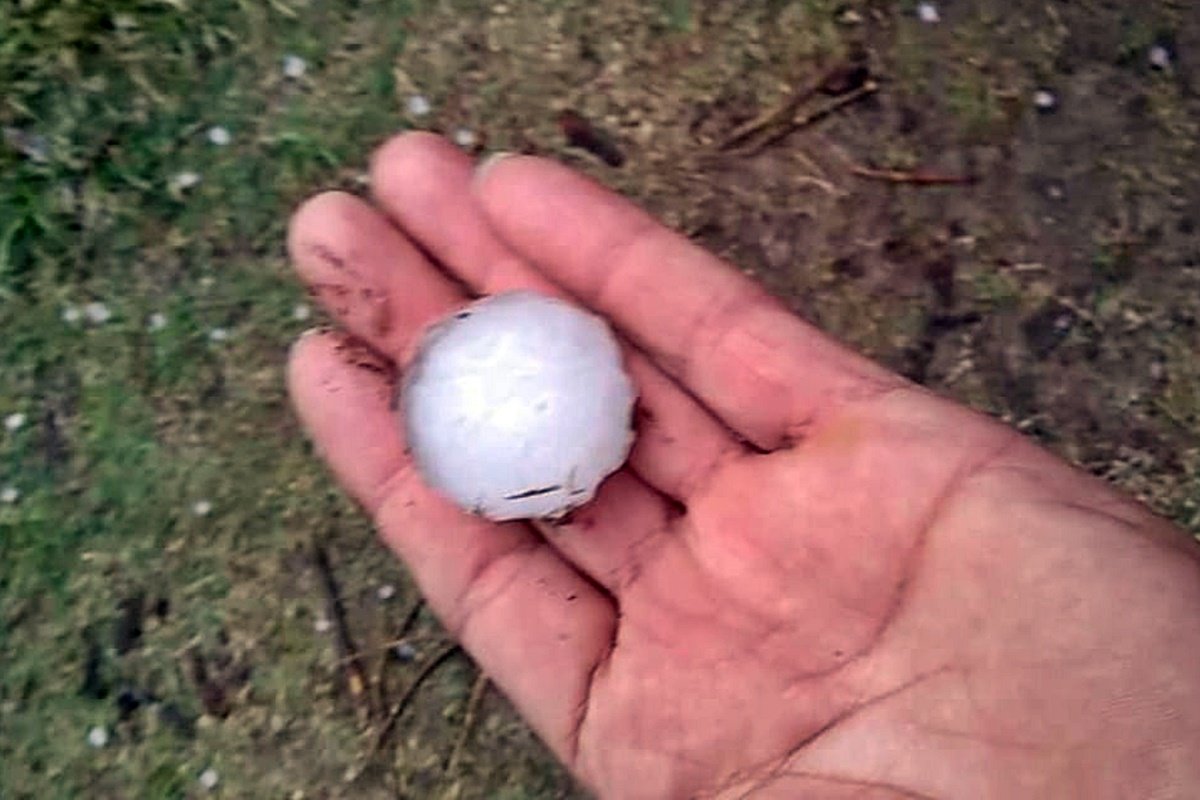La foto enviada por un lector de la zona norte de Concordia