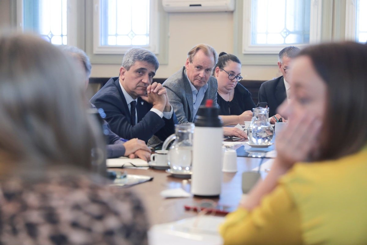 Las mismas no se reflejan en el proyecto presentado al Congreso.