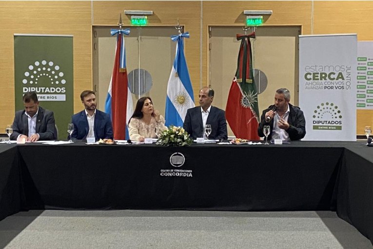 Kneeteman explic&oacute; que la Reforma Politica igualar&aacute; las campa&ntilde;as proselitistas en medios provinciales