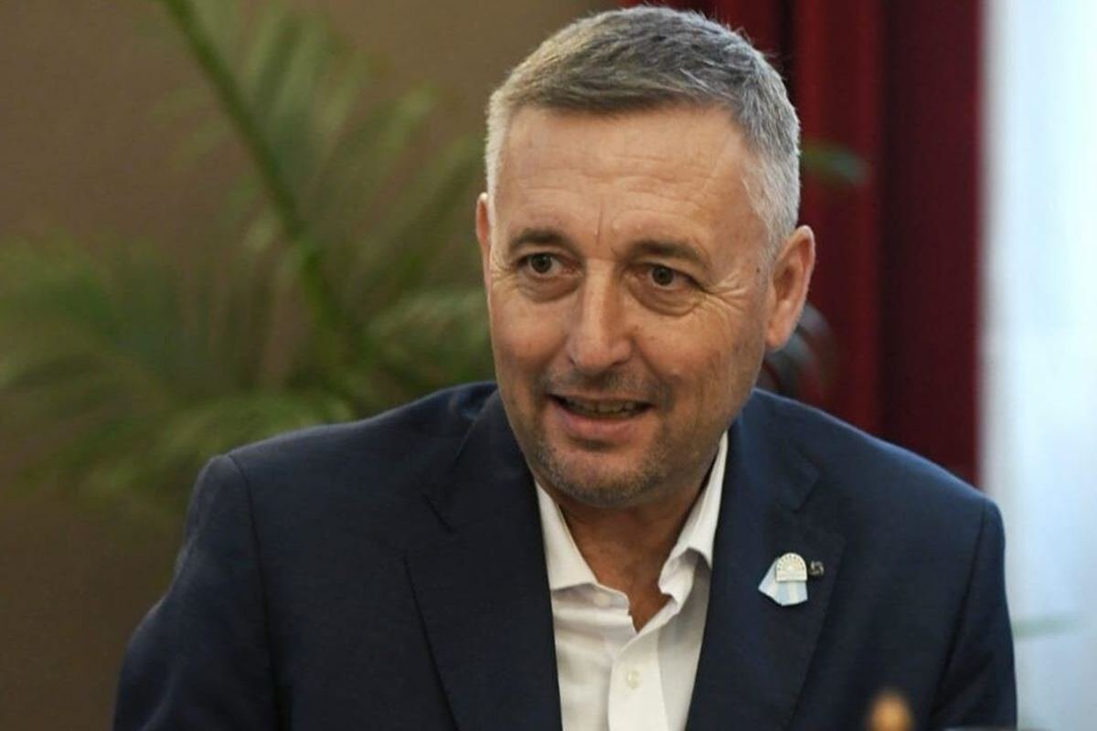 El presidente de la Cámara de Diputados, Gustavo Hein.