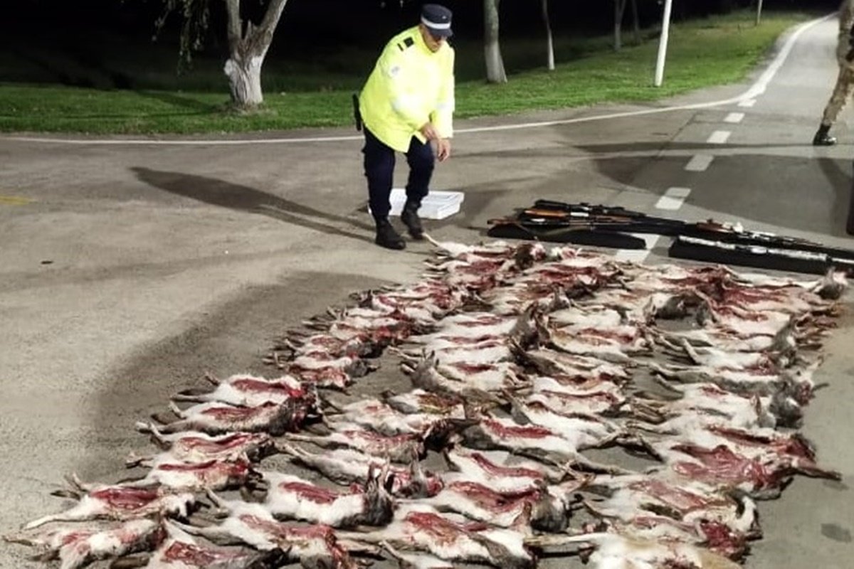 Los implicados habían cometido sus delitos en Corrientes.