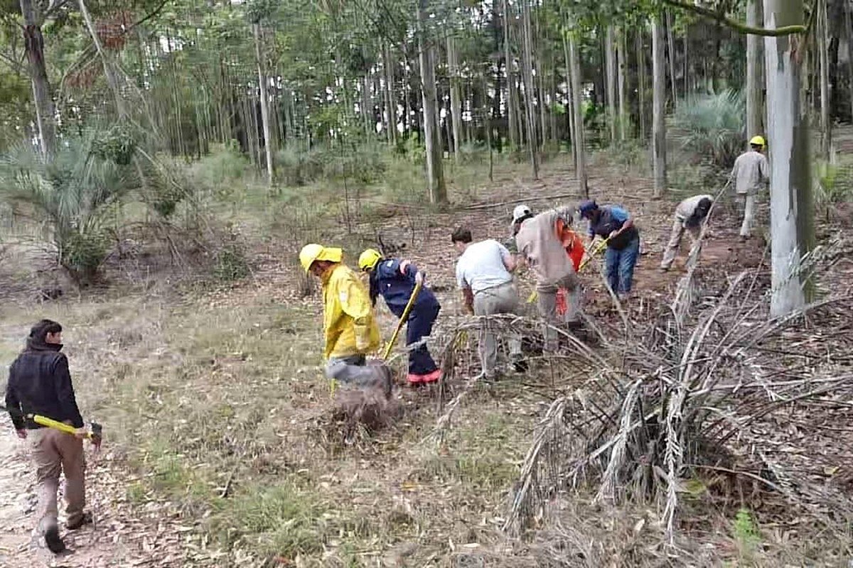 Abordaron temas cruciales como los m&eacute;todos b&aacute;sicos de combate de incendios