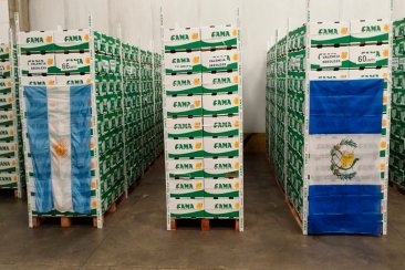El cargamento busca fortalecer el mercado exportador. El cargamento busca fortalecer el mercado exportador.