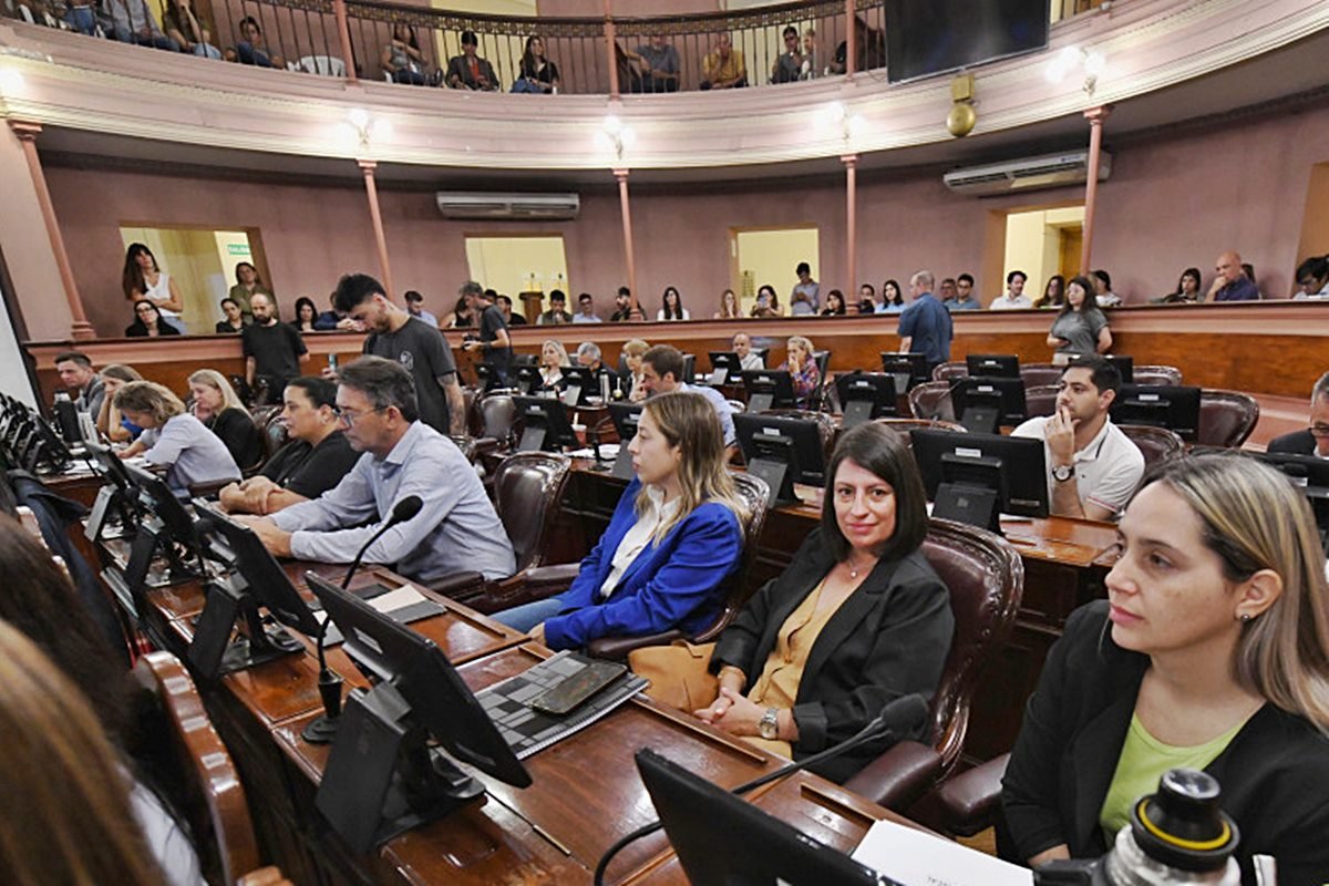 Los diputados y diputadas se capacitaron sobre Ley Micaela.