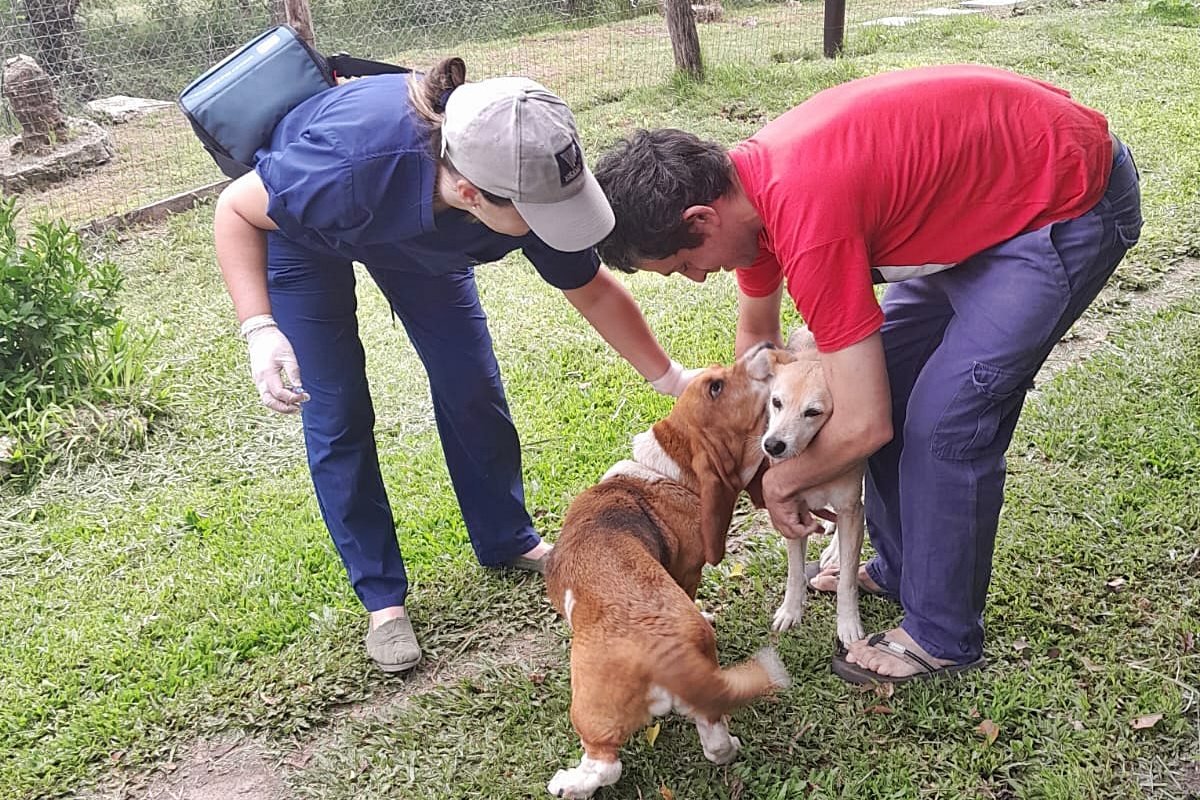 Se apliacaron unas 200 dosis.