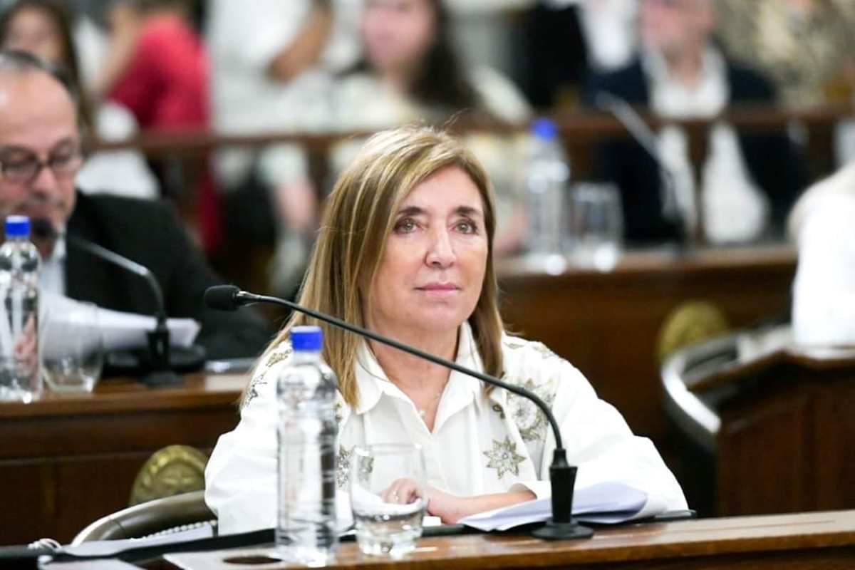 Se trata de un proyecto de la senadora Cielo Espejo.