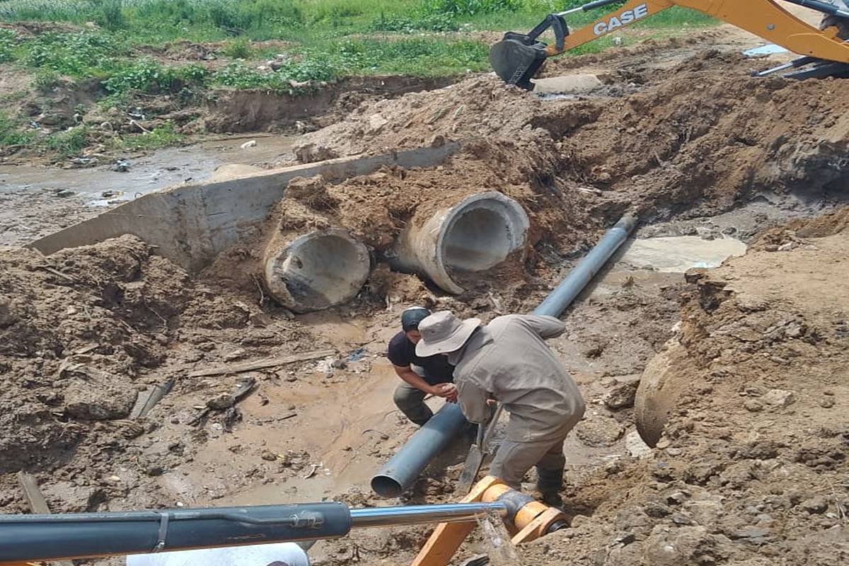 El servicio se regularizar&aacute; "en las pr&oacute;ximas horas", se inform&oacute;.