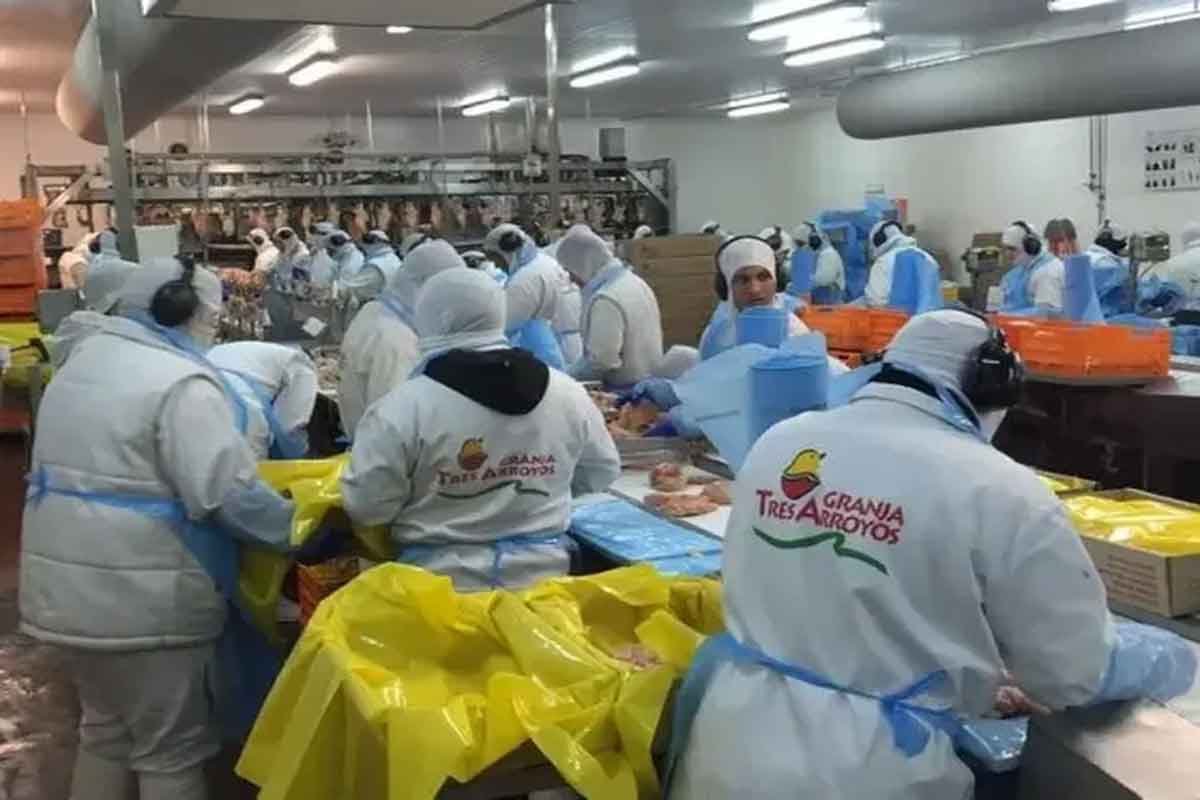 El gremios denunci&oacute; despidos, suspensiones y el pago en cuotas del aguinaldo.