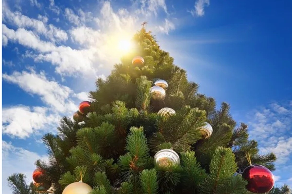 Toda la regi&oacute;n de Salto Grande padeci&oacute; una jornada de alta temperatura