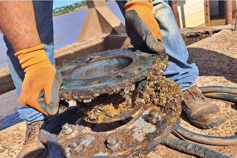El EDOS inform&oacute; que el servicio de agua potable comenz&oacute; a restablecerse en toda la ciudad