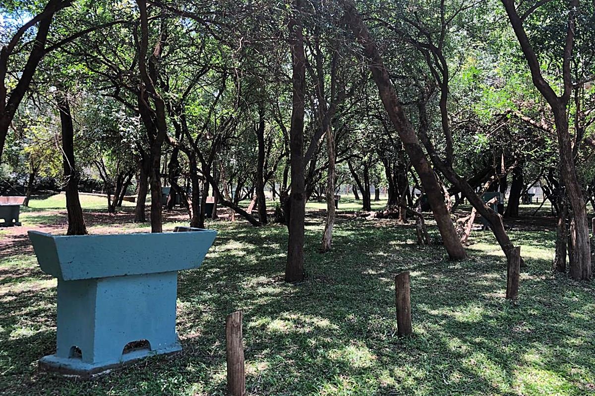 Se acondicion&oacute; el camping municipal para este verano.