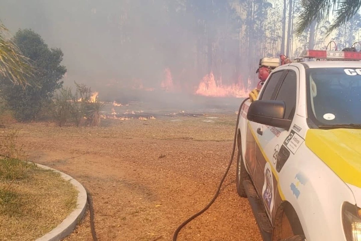 Las llamas afectaron un sector del cementerio Pinar del Campanario
