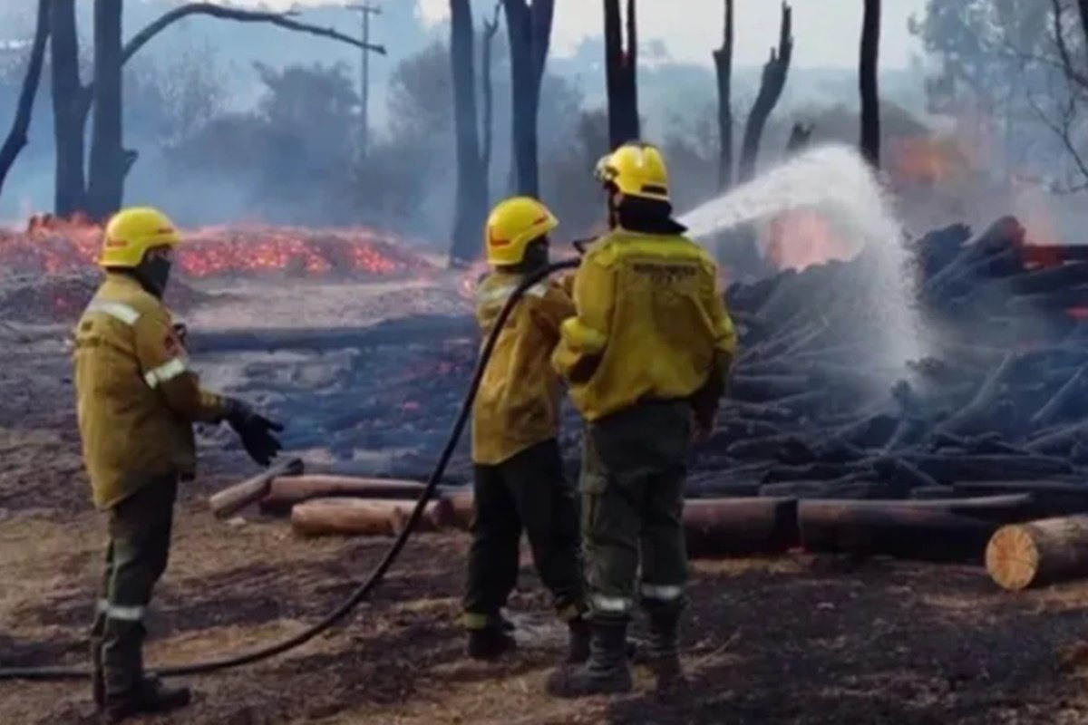Los siniestros contabilizados se dieron todos en el primer mes de 2025.