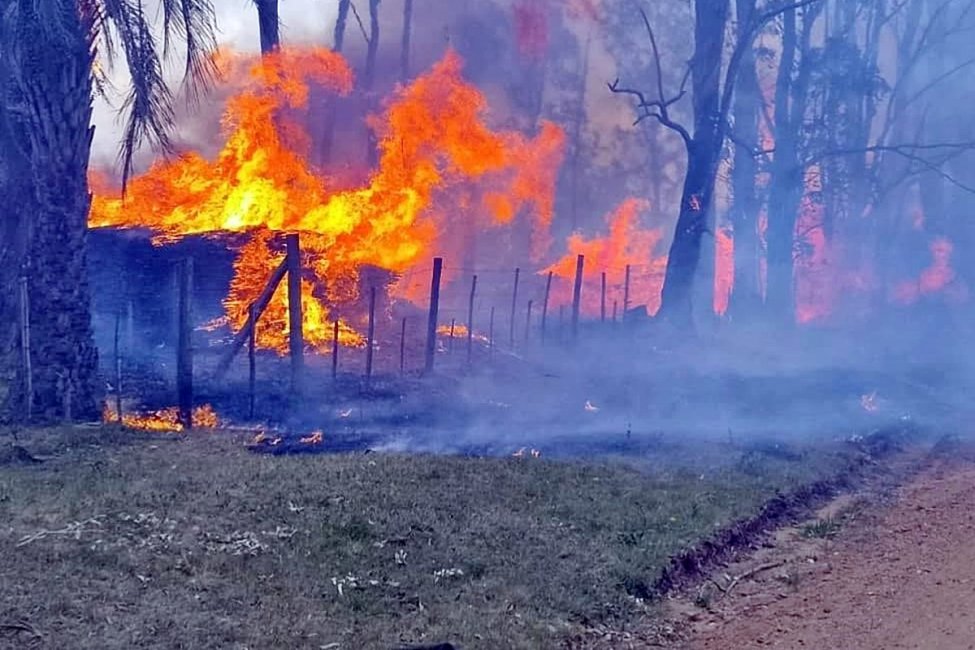 Desde el gobierno subrayan que Entre Ríos ingresó en alerta roja por riesgo extremo de incendios