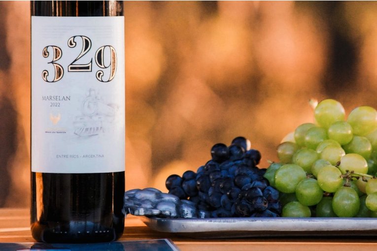 Tras celebrar la Vendimia 2025 la Finca F&eacute;nix anunci&oacute; nuevas experiencias especiales para febrero