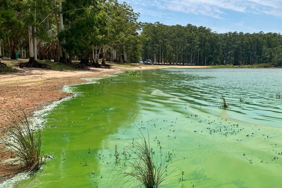 La provincia subrayó que desde octubre instó a que las ciudades ribereñas analicen el agua de sus playas