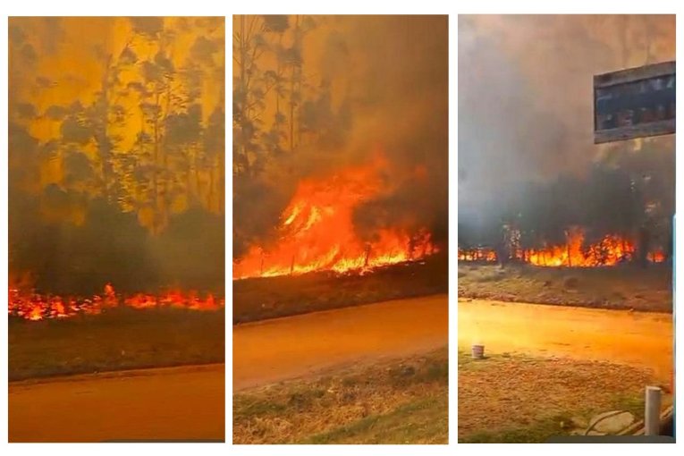 Tras seis horas se pudo controlar el incendio que mantuvo en vilo a Estancia Grande y arras&oacute; centenares de hect&aacute;reas productivas