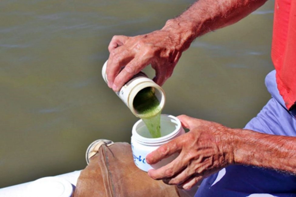 La CTM Salto Grande y la CARU no se ponen de acuerdo en quien debe dar mayores detalles sobre la floración algal