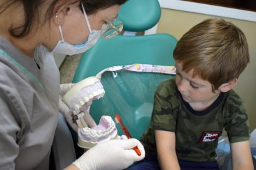 La obligatoria obedece a una estrategia de atención primaria. La obligatoria obedece a una estrategia de atención primaria.