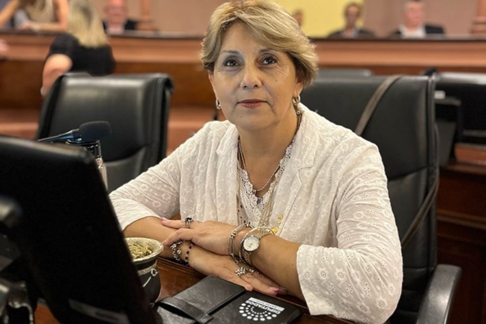 Para la diputada Salinas, Azcué "está copiando una imagen de Javier Milei que no lleva a nada bueno"