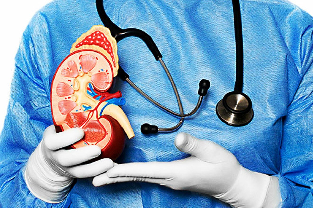 Cada tercer jueves de marzo se celebra el D&iacute;a Mundial del Ri&ntilde;&oacute;n.