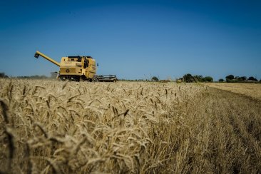 Lo que más exporta Entre Ríos sería cereales, carnes y productos lácteos. Lo que más exporta Entre Ríos sería cereales, carnes y productos lácteos.