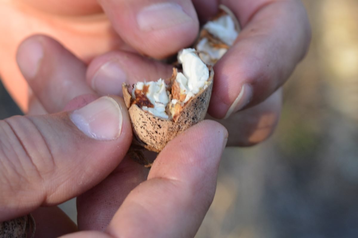 Las jornadas se llevar&aacute;n a cabo en Concordia los d&iacute;as 27 y 28 de marzo.
