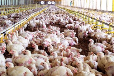 Las restricciones al comercio se habían generado en 2023. Las restricciones al comercio se habían generado en 2023.