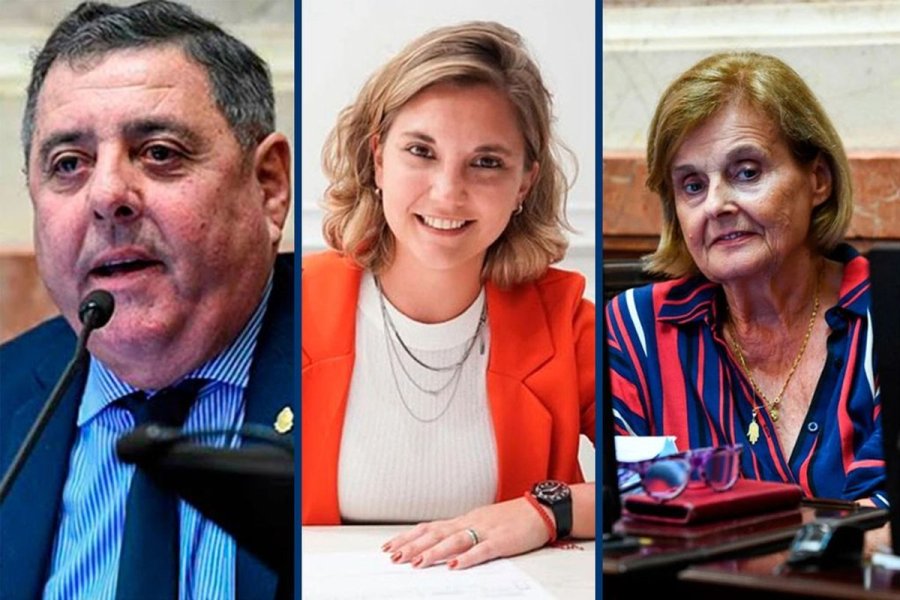 Los tres senadores nacionales por Entre Ríos dejan sus bancas.