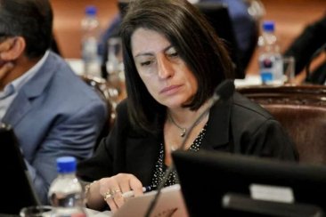 Diputada provincial Carola Laner Diputada provincial Carola Laner