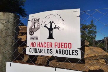 La ONG afirma que a pesar del revuelo, nadie se hizo responsable. La ONG afirma que a pesar del revuelo, nadie se hizo responsable.