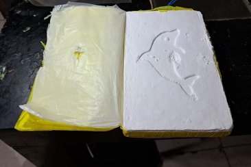 La droga indentificada con el sello del delfín. La droga indentificada con el sello del delfín.
