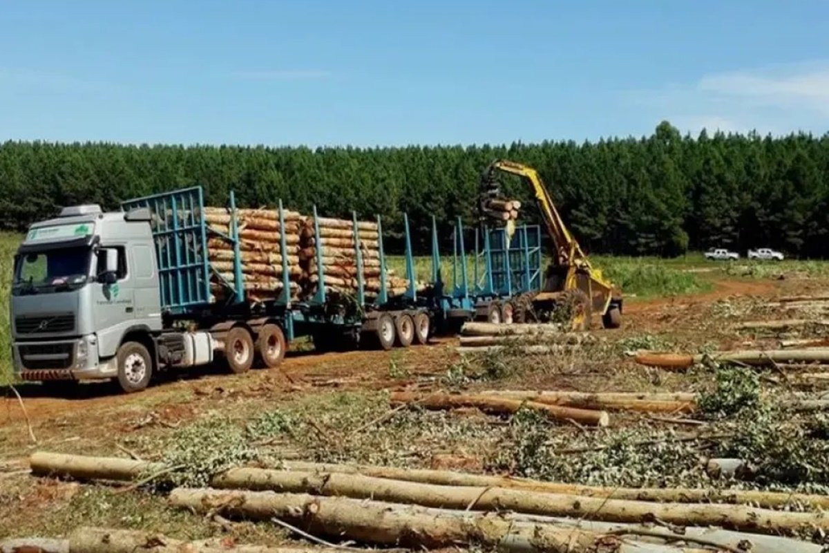 La iniciativa busca dinamizar la economía provincial.